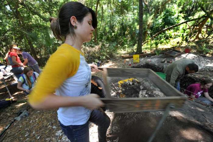 Michele Pierson sifts for artifacts Thursday at an archaeological dig on Big Talbot Island