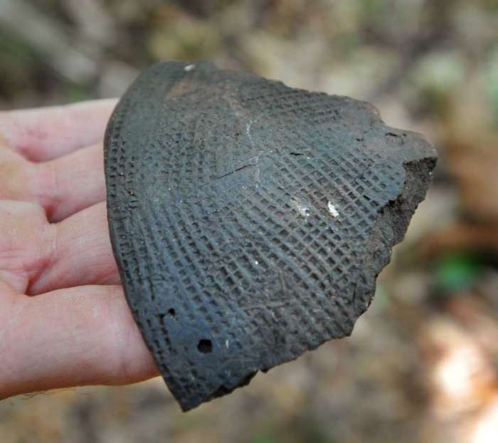 UNF researcher Keith Ashley holds a shard from a St. Johns check stamped pot from 900-1250 A.D. Photo: Will Dickey