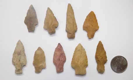 These Late Woodland stemmed points were found in the fields around both mounds of Sally Warren Mounds.