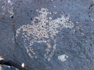 Historic Petroglyph