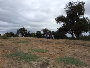 Potter Mound today