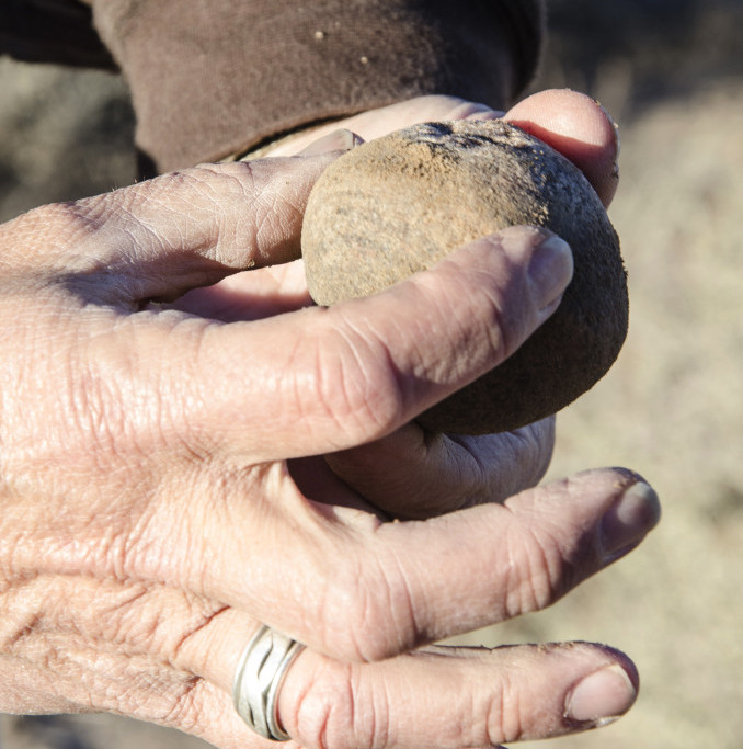 Archaeologist Matt Scmader holding a shaped quartzite slingstone found on the site surface. Liz Lopez Photography
