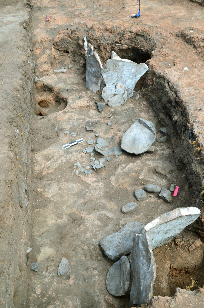 Excavations underway at the Dillard Site. Courtesy Crow Canyon Archaeological Center.