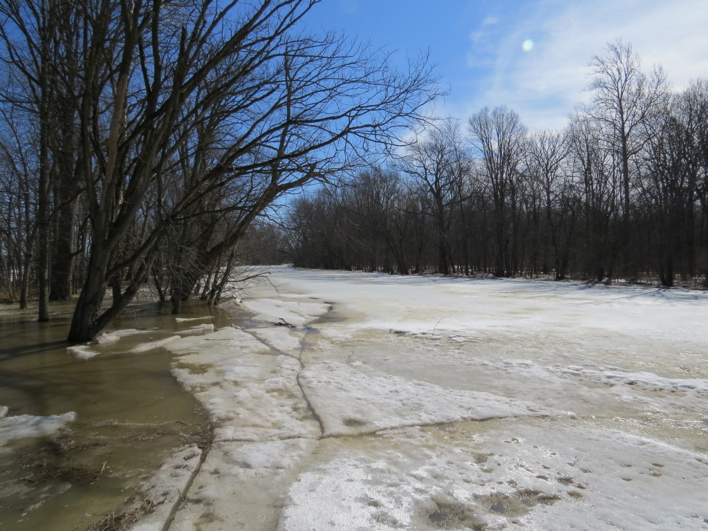 Fort Adams Preserve Flooded by Frozen River.