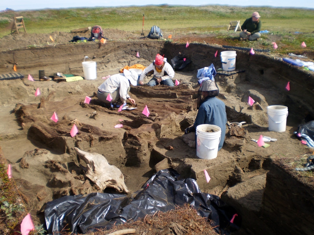 Archaeologists working at the Rising Whale site at Cape Espenberg, Alaska, have discovered several artifacts that were imported from East Asia. Credit: Photo courtesy University of Colorado