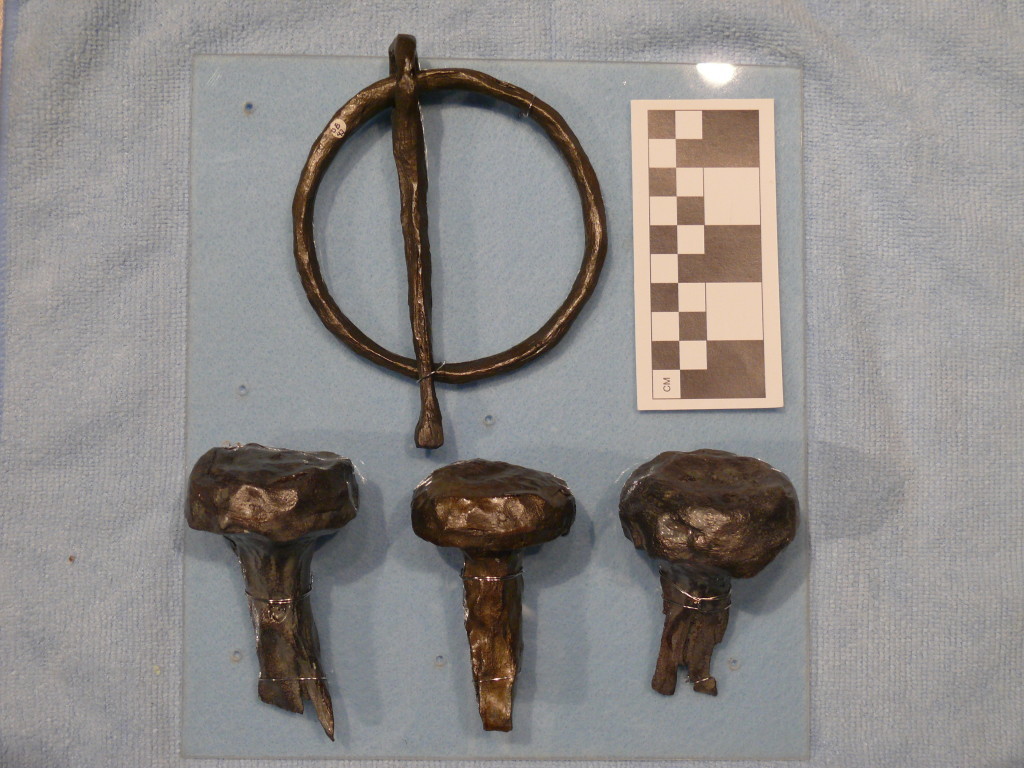 Iron artifacts recovered from the Armstrong site were salvaged and modified by the French shipwreck survivors. Credit: John De Bry