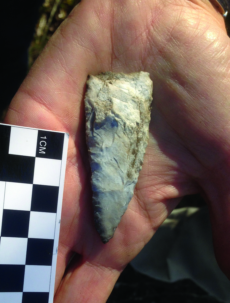 This chert biface tool was found at the site.