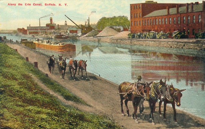 A depiction of the Erie Canal in Buffalo, New York. Mules were used to pull the barges