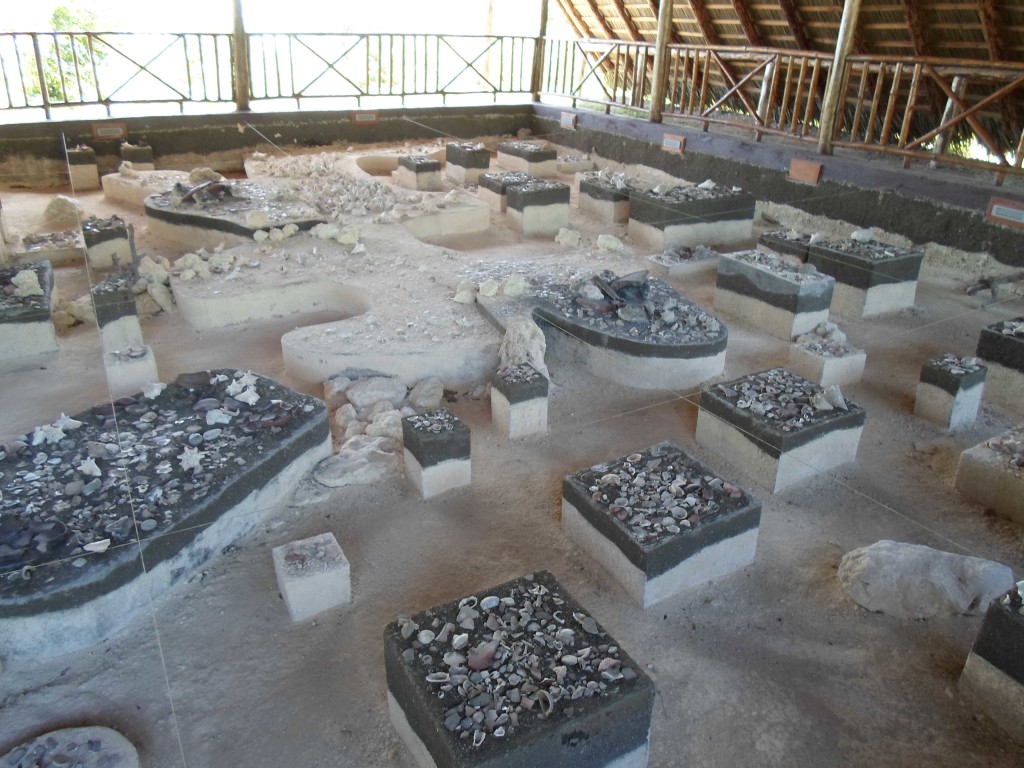 Bariay excavation