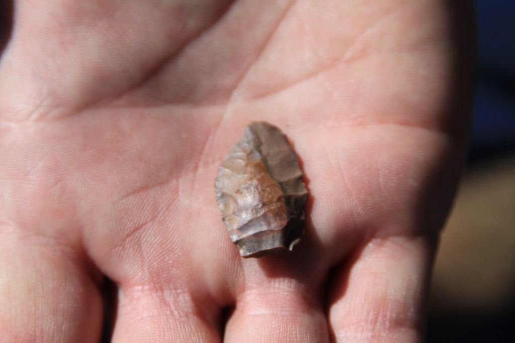A Projectile Point from the Site