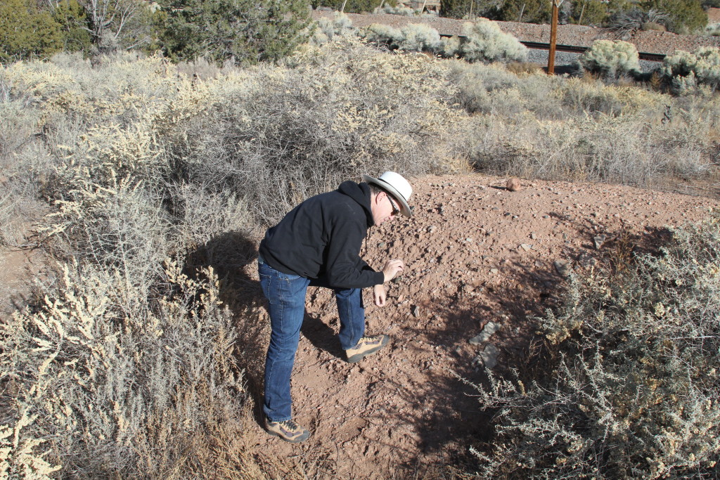 Southwest Regional Director Jim Walker Examining the site