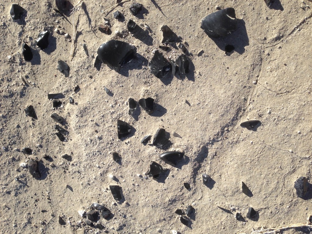 Close up of obsidian flakes on the surface.