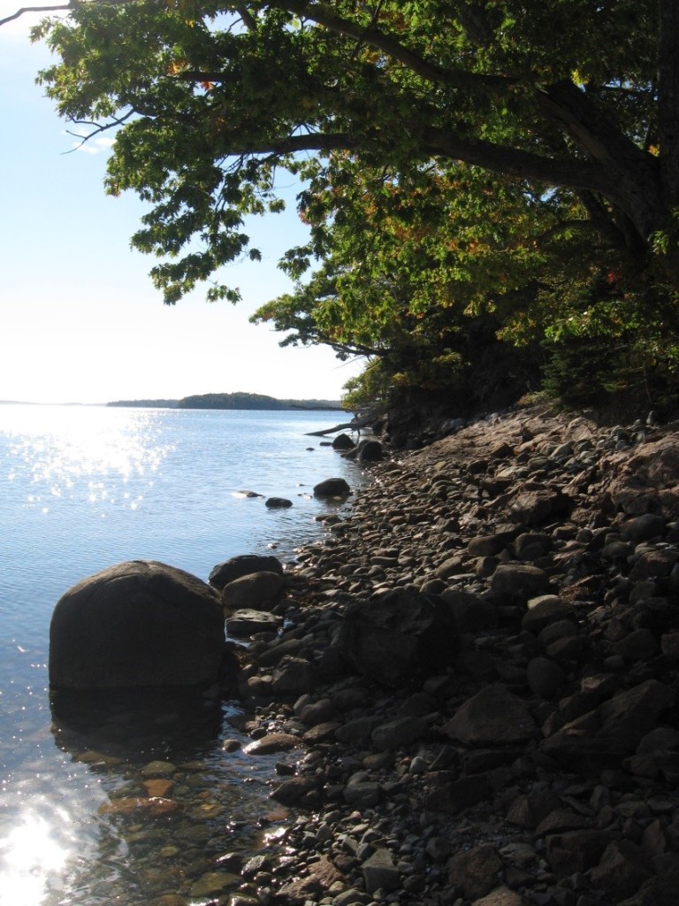 Waterside Shell Heap Preserve, Maine