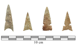 A sample of the protohistoric Wichita points found at Etzanoa. Credit: Donald Blakeslee