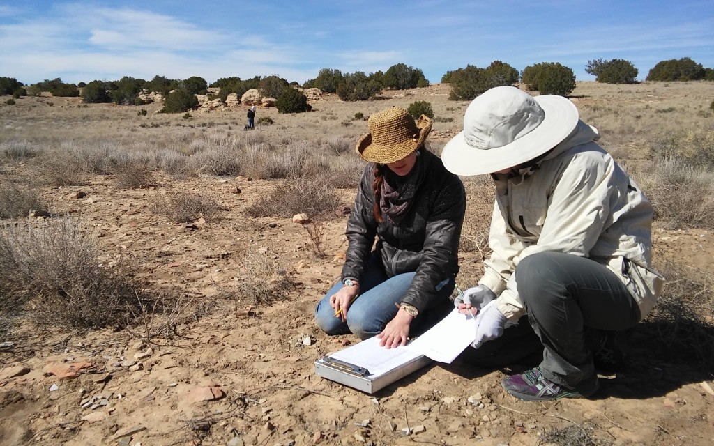 Researchers at work on the 500th Site Pueblo. Photo Chaz Evans/TAC.