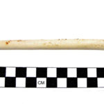 Smoking Pipe From Paddy's Alley, Boston. A Rare find with a complete stem. courtesy of the Massachusetts Historical Commission