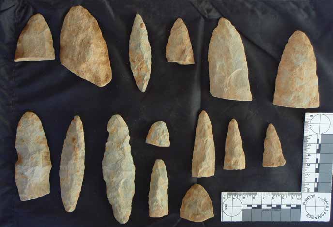 A collection of points discovered at the 8,700-year-old Woodhaven site. Credit Garth L. Baldwin.