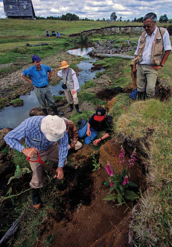 Archaeologist Tom Dillehay (in blue shirt and hat, standing) has directed excavations at Monte Verde in southern Chile for years. Recent research suggests the site could be more than 18,000 years old. Photo Credit: Kenneth Garrett.