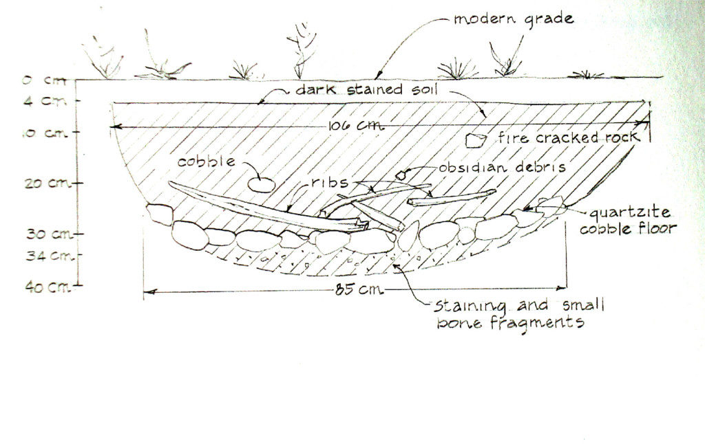 Bison Roasting Pit Diagram After Excavation. Courtesy Carol Condie.