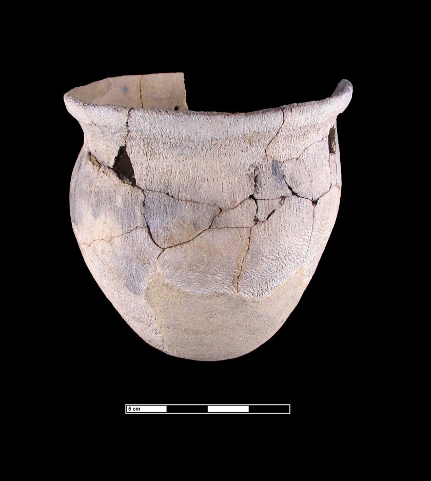 Artifacts from the site: a partially restored Shepard Ware vessel.Courtesy of the Maryland Archaeological Conservation Laboratory at the Jefferson Patterson Park and Museum.