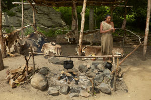 The recreated Native Homesite at Plimoth Plantation living history museum is seen here. Native people staff the Homesite and portray seventeenth-century Wampanoag life on the coast. The Native woman is using an iron English pot, a sign of exchange with the colonists. Credit: Bruce T. Martin.