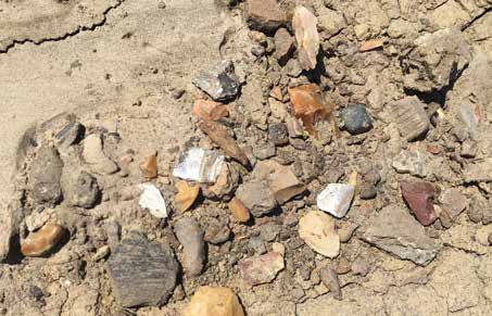 After a rain, historic and prehistoric pottery, as well as stone tools from various time periods, washed into piles on the site’s surface. Photo The Archaeological Conservancy.
