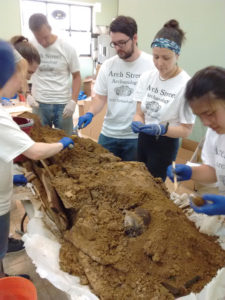Bioarchaeology field school students from the College of New Jersey carefully excavate a coffin recovered from 218 Arch Street in their laboratory in 2017. Many of the coffins are so decomposed that little more than a few planks of wood remain Credit: Arch Street Project