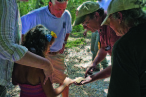 Archaeologist Ken Sassaman (center, with hat) shows a young visitor to Shell Mound one of the sherds recovered from the site. Under jurisdiction of the U.S. Fish and Wildlife Service, Shell Mound is open to the public. Credit: Laboratory of Southeastern Archaeology, University of Florida