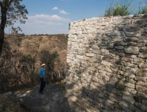 Archaeologist Aurelio López Corral examines a consolidated platform wall measuring about sixteen feet in height. Credit: Adam Wiseman