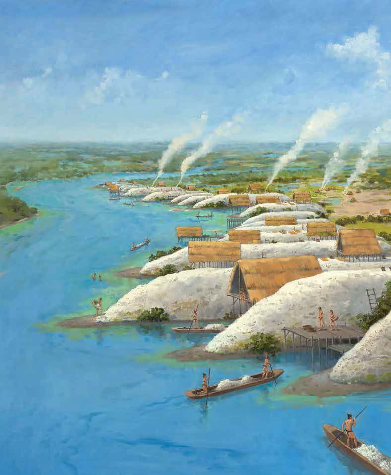 This illustration of numerous shell mounds at the Turner River Shellworks site in Ten Thousand Islands, Florida, is based on archaeological evidence.Credit: MARTIN PATE, COURTESY MARGO SCHWADRON, NPS