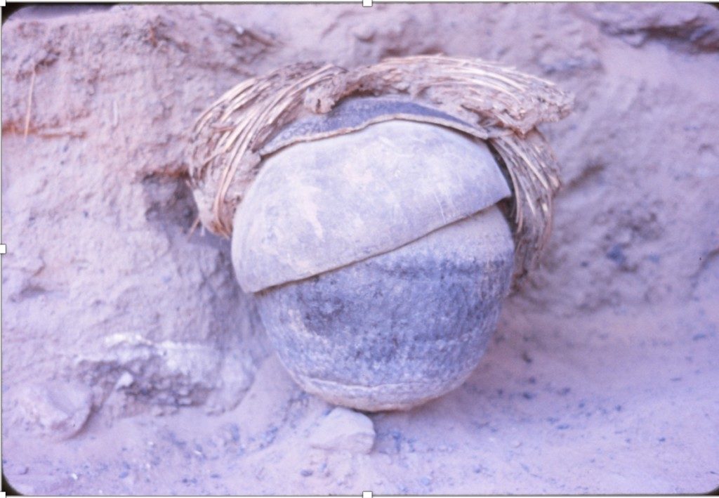 Salt Cache as it was found in Benchmark Cave. Photo courtesy of the Museum of Natural History of Utah. 