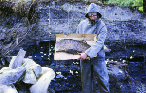 Dale Croes uncovered his first basket at the Ozette wet site in 1970. This marked the beginning of his career working on ancient Northwest Coast basketry artifacts. The crew excavated with water pumped from the ocean via marine pumps and fire hoses, so Croes and the others wore googles to protect against stinging jelly fish could be sucked into the line from the ocean intake. Credit: Dale Croes