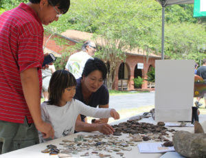 Public outreach is an important part of the Wakulla Springs project. Some of the artifacts recovered from the site are arranged on a table so that visitors can inspect them. Credit: Joseph Latvis