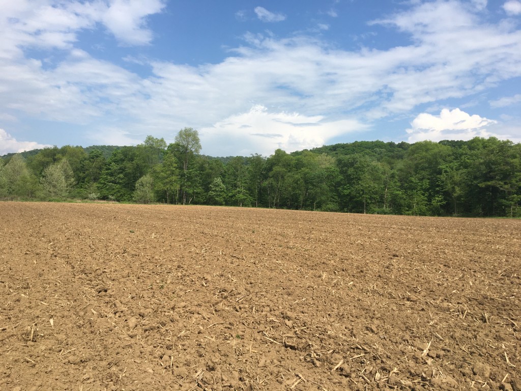 Photo of an plowed field with green trees in the background and blue sky with white fluffy clouds.