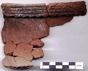 photo of pottery sherds that have been reconnected to form part of a pot with a decorative pinched rim section.