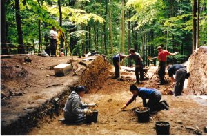 photo of archaeological excavation in a heavily wooded area.