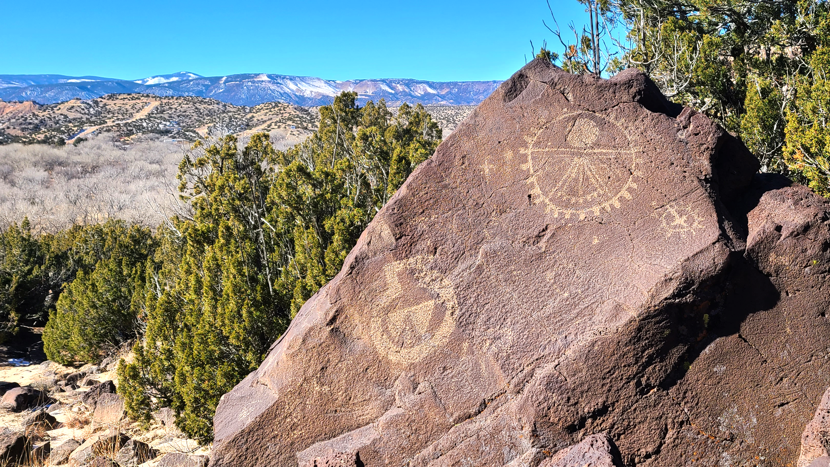 photo showing two shield-like petroglyphs on a large boulder